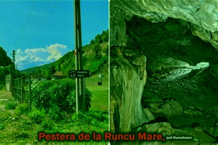 escort Runcu Mare