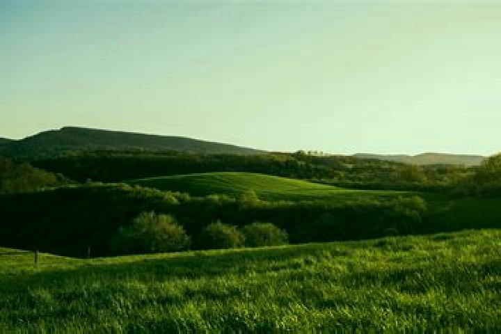 escort Rural Valley