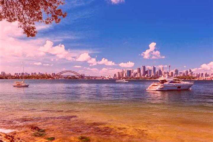 escort Rushcutters Bay