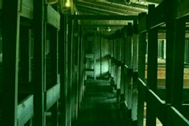 escort Sachsenhausen
