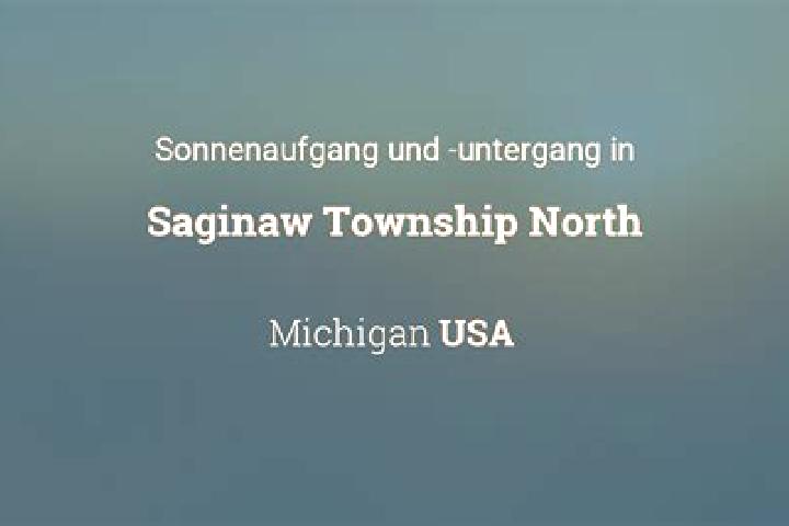 escort Saginaw Township North