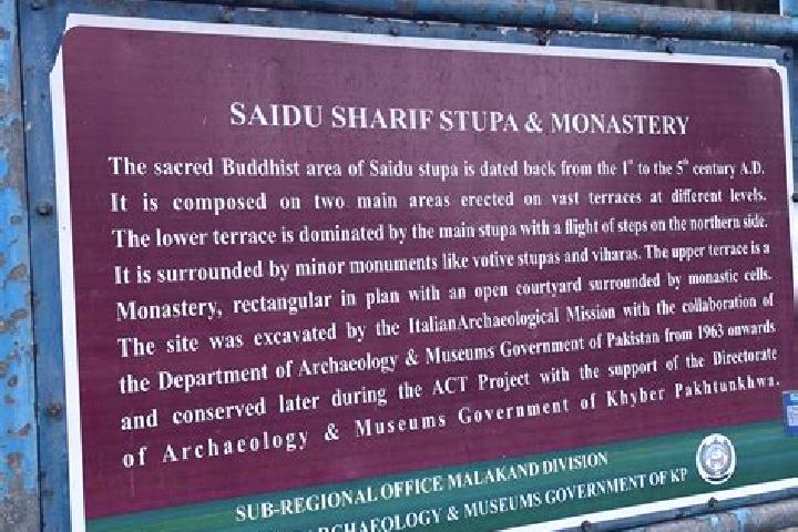 escort Saidu Sharif