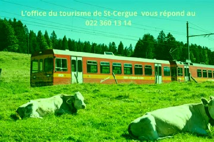 escort Saint-Cergue