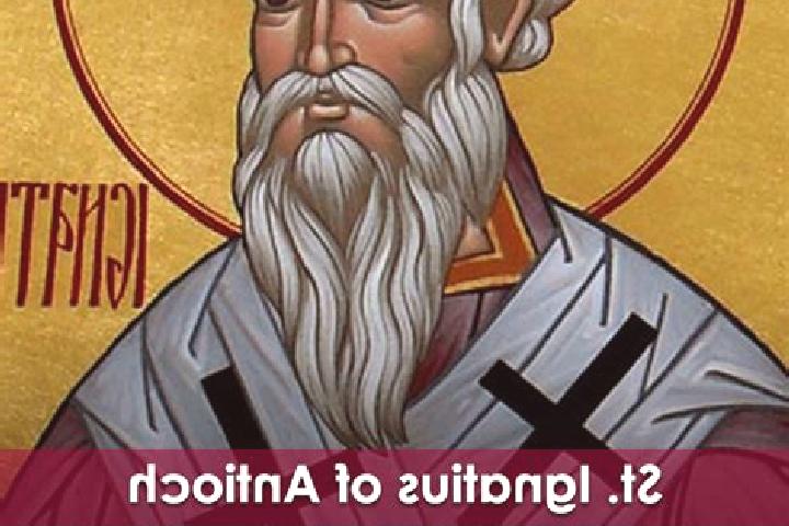 escort Saint Ignatius