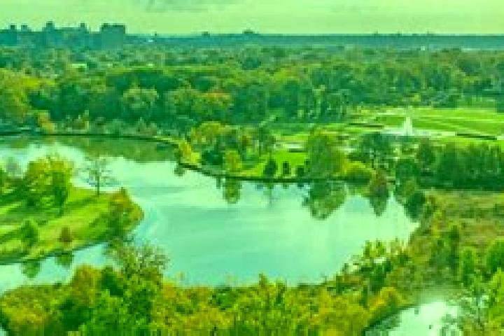 escort Saint Louis Park