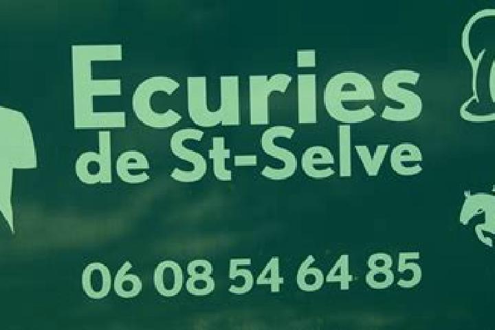 escort Saint-Selve