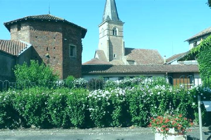 escort Saint-Trivier-de-Courtes
