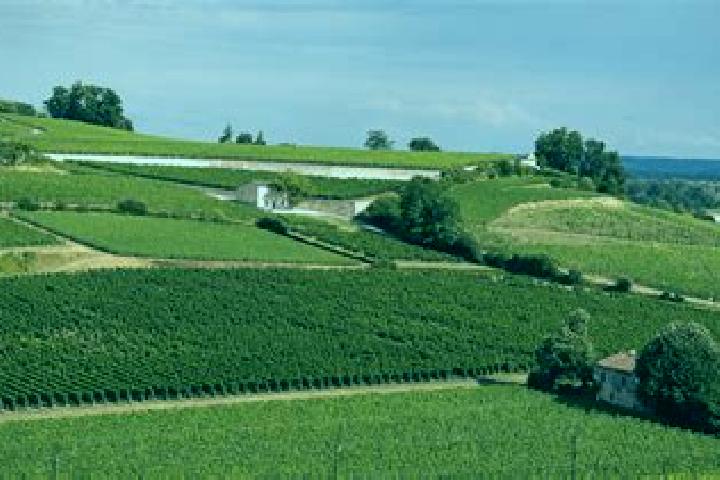 escort Saint-Yon