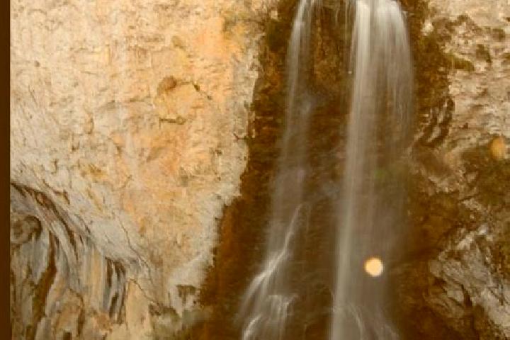 escort Salciua de Jos