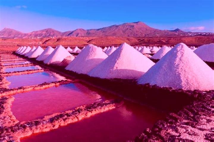 escort Salinas de Oro