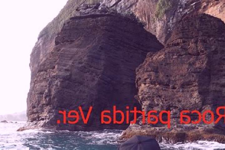 escort Salinas Roca Partida
