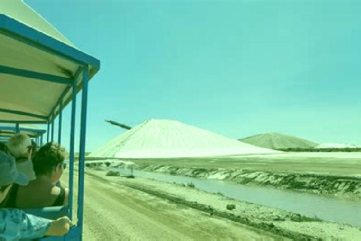 escort Salins