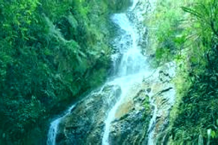 escort Salto del Guaira