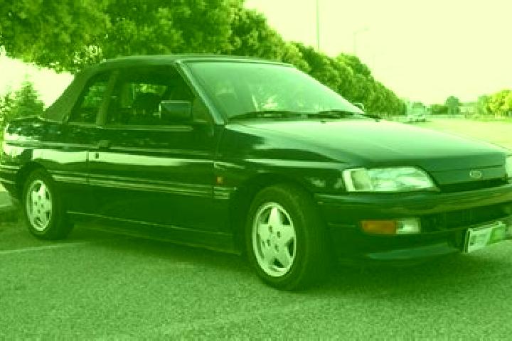 escort Salva