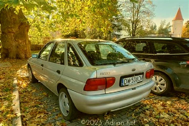 escort Samankaya