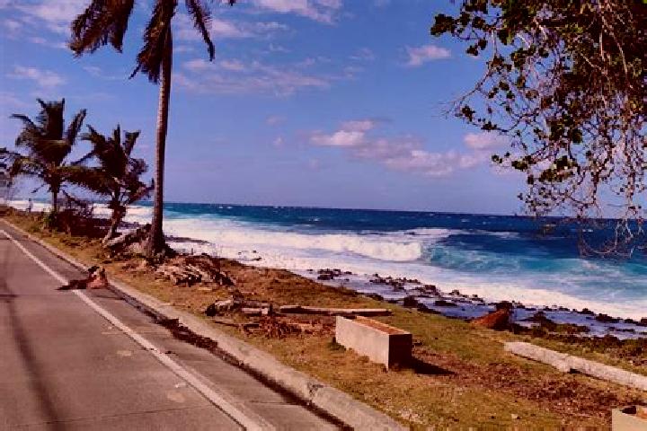 escort San Andres de las Peras