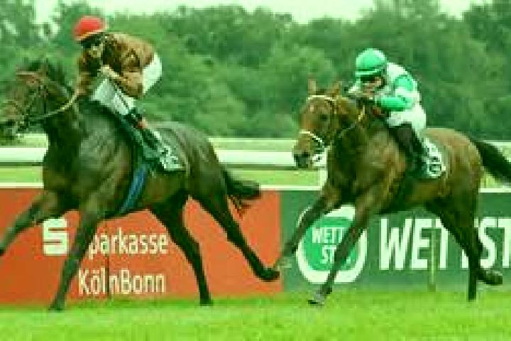 escort San Donato