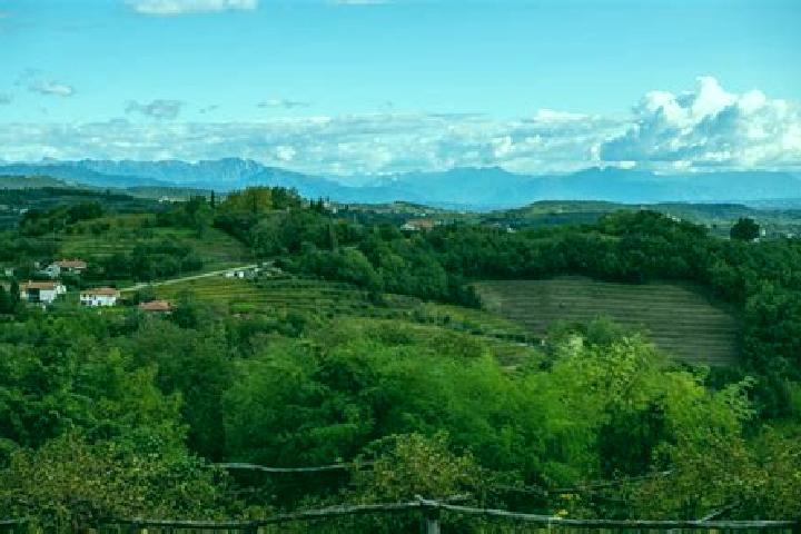 escort San Floriano del Collio
