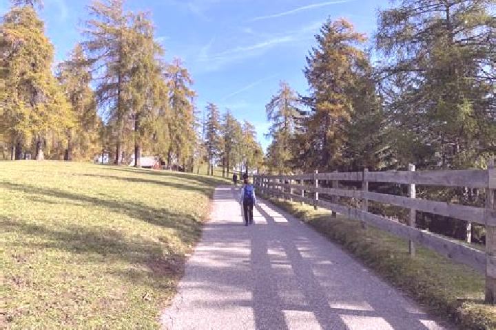 escort San Genesio