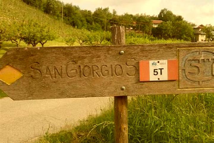 escort San Giorgio Scarampi