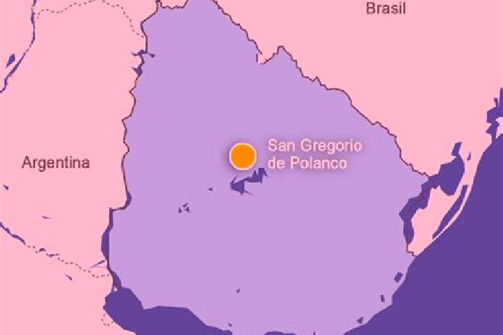 escort San Gregorio de Polanco