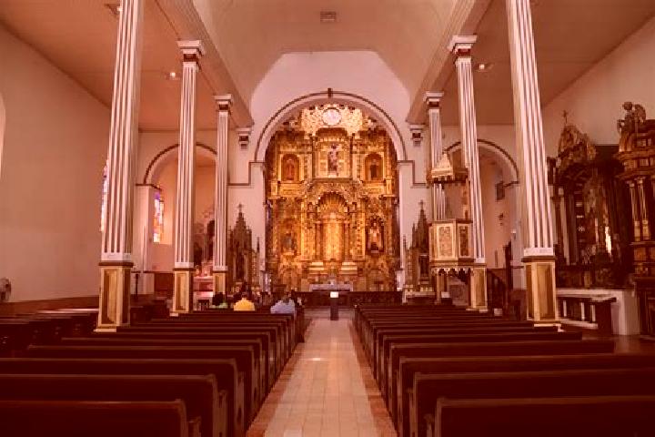 escort San Jose de Castellanos