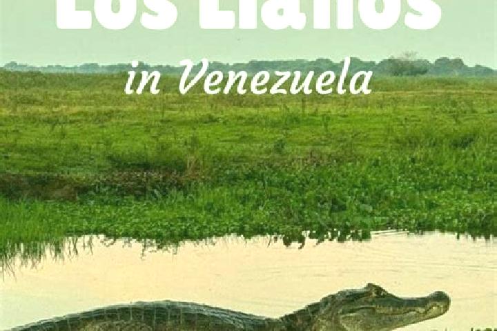 escort San Jose de los Llanos