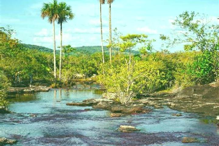 escort San Jose del Guaviare