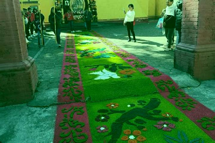 escort San Juan Coxtocan