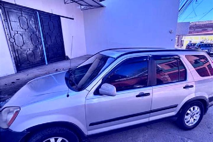 escort San Juan de Flores