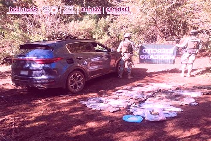 escort San Lorenzo Querendaro