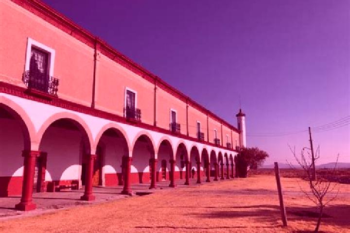 escort San Lorenzo Soltepec