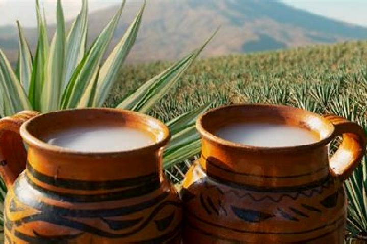 escort San Lucas del Pulque