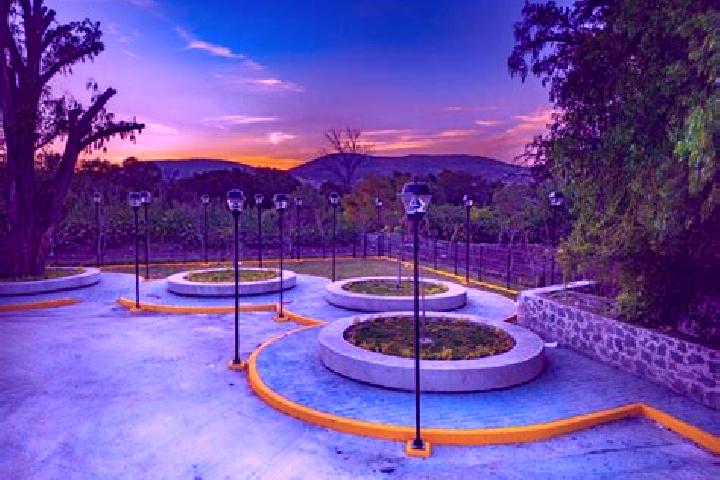 escort San Martin Chamizal
