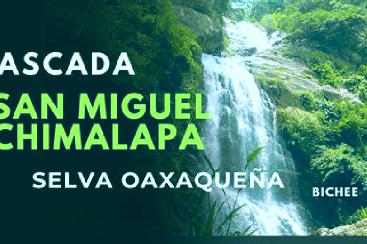 escort San Miguel Chimalapa