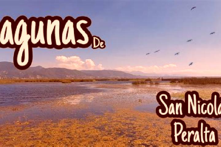 escort San Nicolas Peralta
