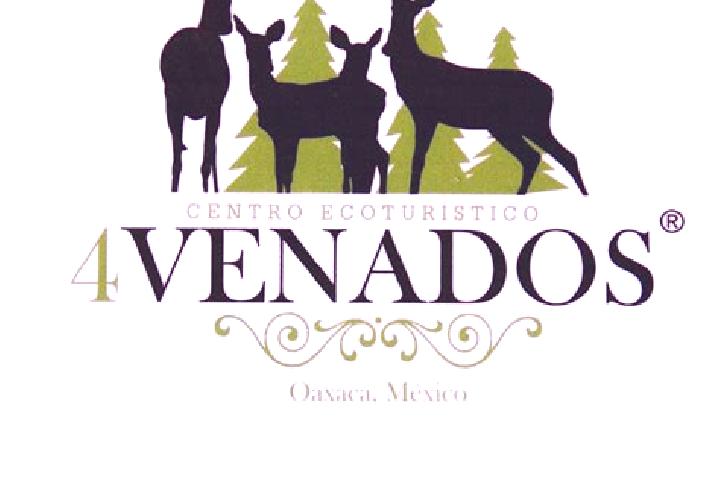 escort San Pablo Cuatro Venados