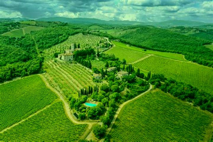escort San Polo in Chianti