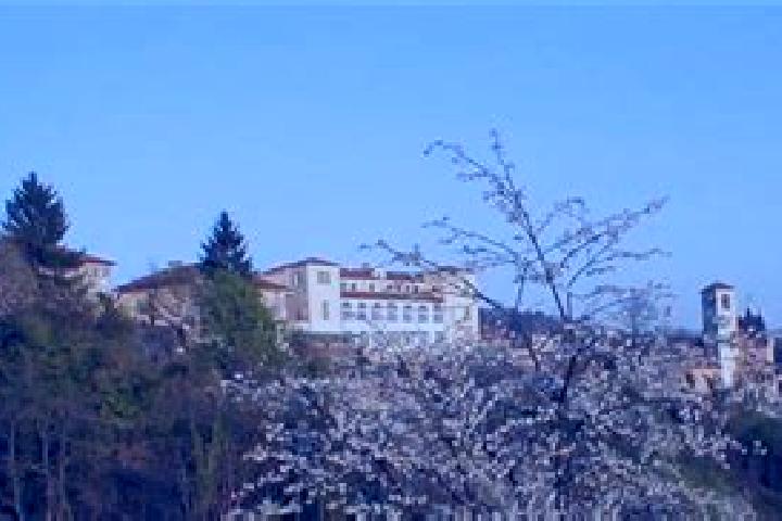 escort San Raffaele Cimena
