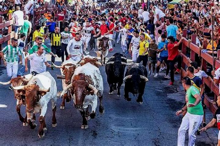 escort San Sebastian de los Reyes