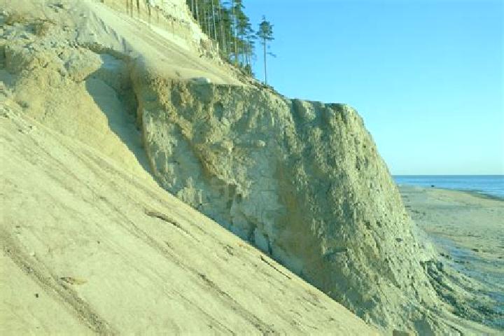 escort Sand Bluff