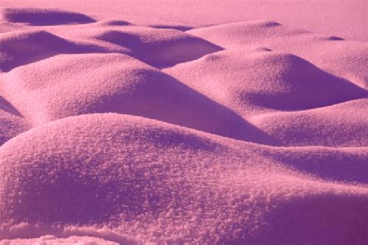 escort Sand Hill