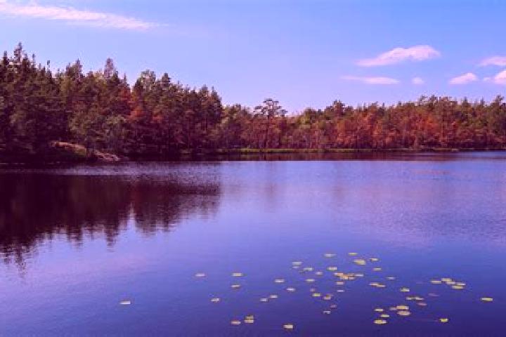 escort Sand Lake
