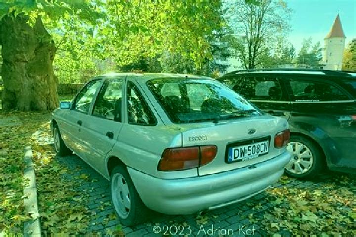 escort Sandstedt
