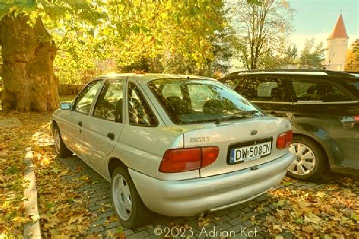 escort Sandston