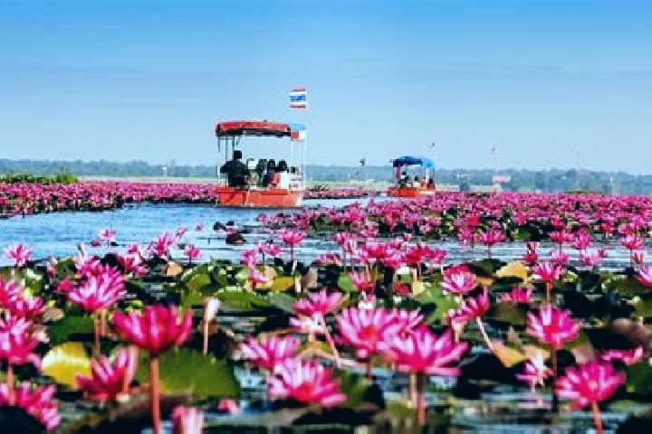 escort Sang Khom