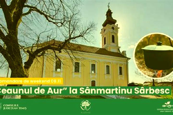 escort Sanmartinu Sarbesc