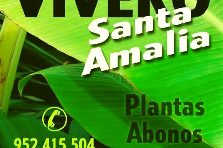 escort Santa Amalia
