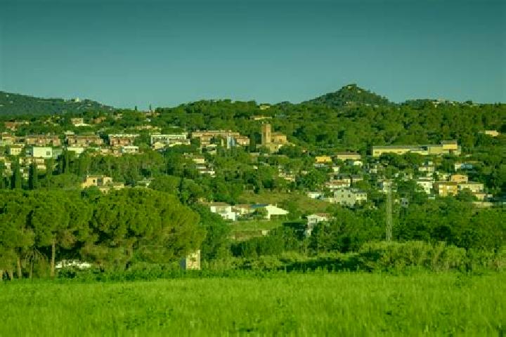 escort Santa Eulalia de Roncana