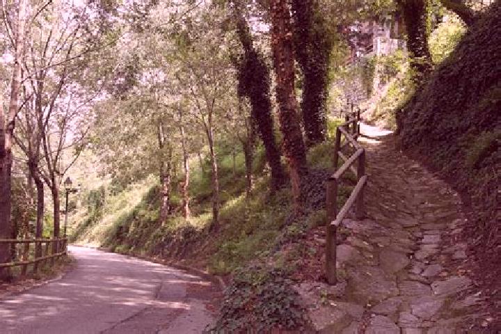 escort Santa Maria d Olo
